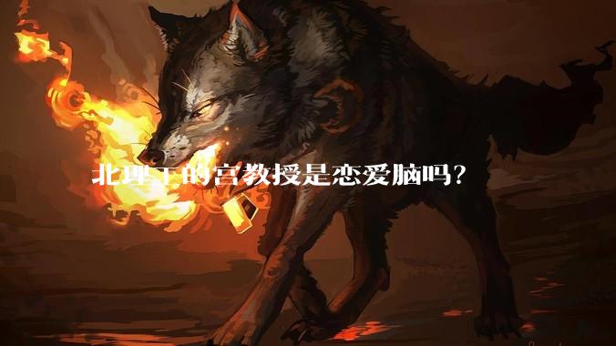 北理工的宫教授是恋爱脑吗？